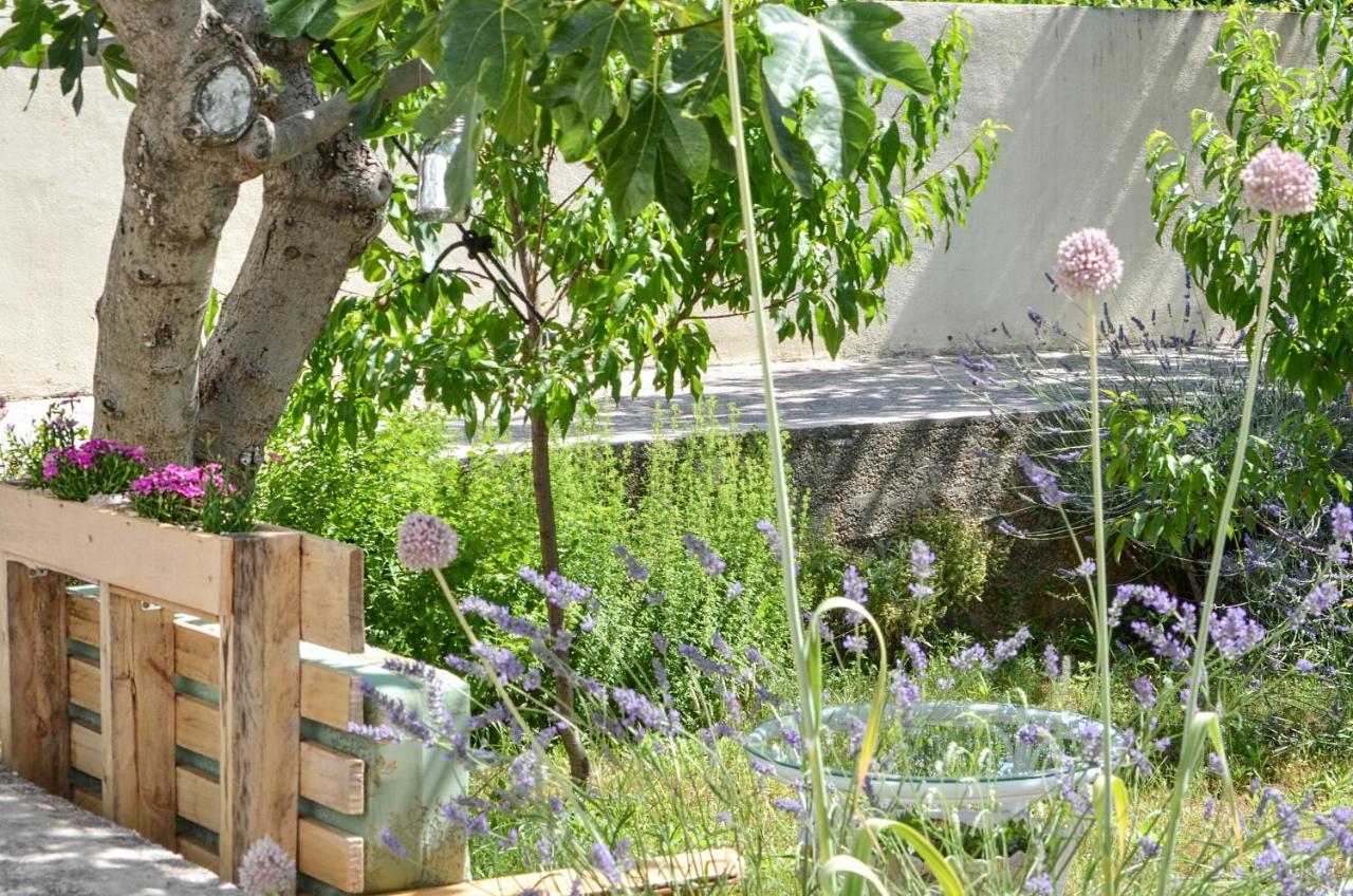 فيلا Lavender Garden House روغوزنيكا المظهر الخارجي الصورة