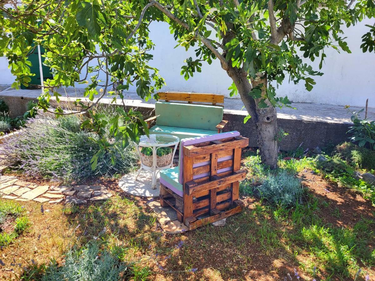 فيلا Lavender Garden House روغوزنيكا المظهر الخارجي الصورة