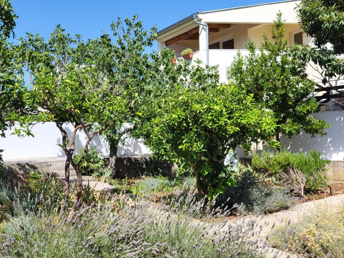 فيلا Lavender Garden House روغوزنيكا المظهر الخارجي الصورة
