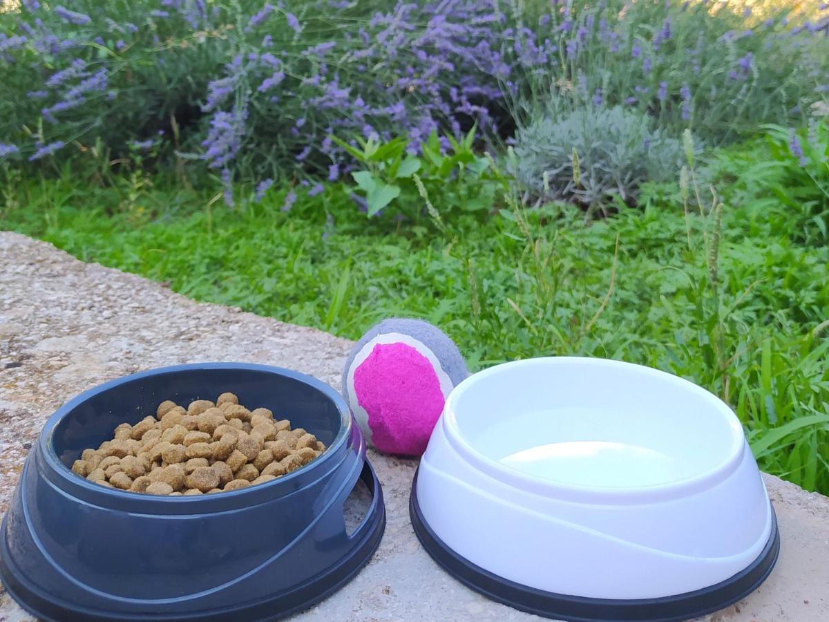 فيلا Lavender Garden House روغوزنيكا المظهر الخارجي الصورة
