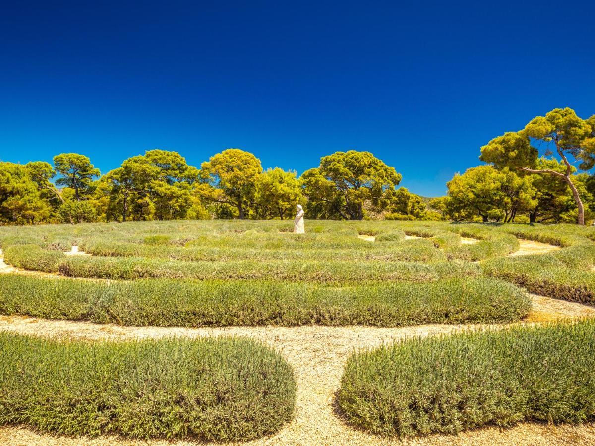 فيلا Lavender Garden House روغوزنيكا المظهر الخارجي الصورة